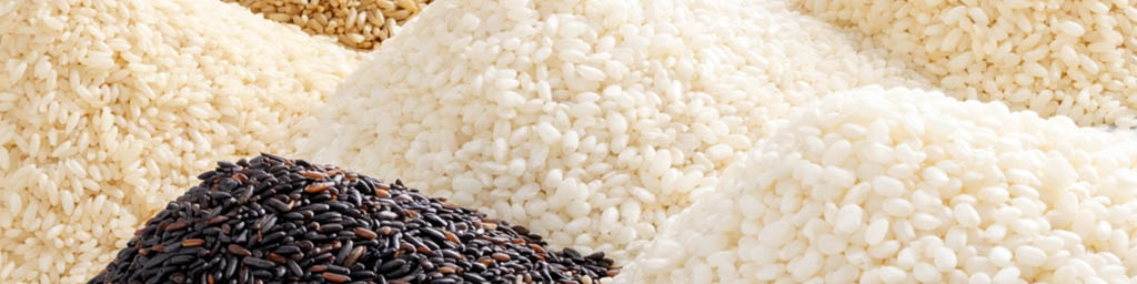 Erinevad riisisordid